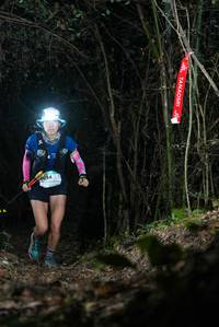 BIB: 
                            <button type="button" onclick="openModal(19404040)" class="btn btn-primary btn-sm float-right btn-popup" data-toggle="modal" data-target=".modal-high-quality">
                        <i class="fas fa-shopping-cart"></i> Add to Cart
                    </button>
                                            <button type="button" onclick="isThisMe(19404040, true)" class="btn btn-success btn-sm float-right btn-popup btn-isme hidden" data-toggle="tooltip" data-placement="bottom" title="นี่คือรูปของคุณใช่ไหม คลิกที่นี่เพื่อเอาเข้าอัลบั้ม">
                        <i class="fas fa-plus"></i> Add to album
                    </button>
                    <button type="button" onclick="isThisMe(19404040, false)" class="btn btn-warning btn-sm float-right btn-popup btn-isnotme hidden">
                        <i class="fas fa-ban"></i> Remove from album
                    </button>